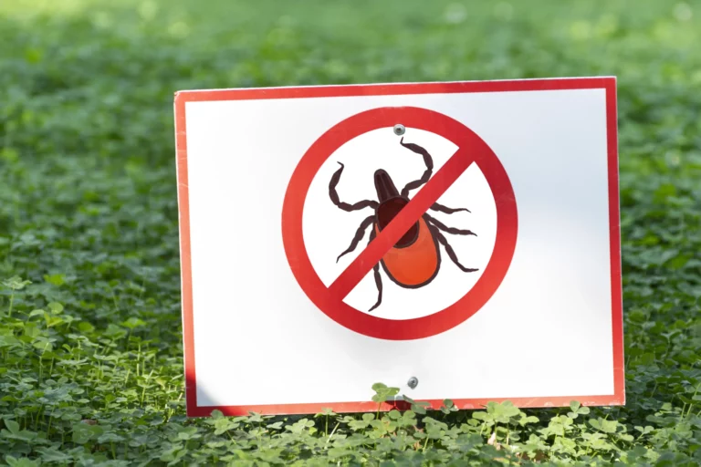 Anti-nuisible – informatique Montélimar